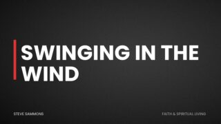 Swinging in the Wind